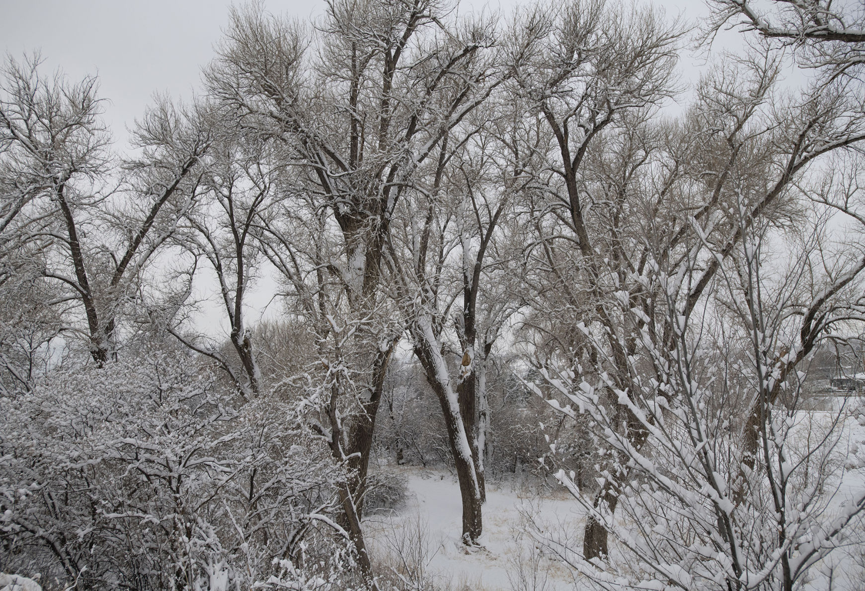 040420-news-snow 04.jpg